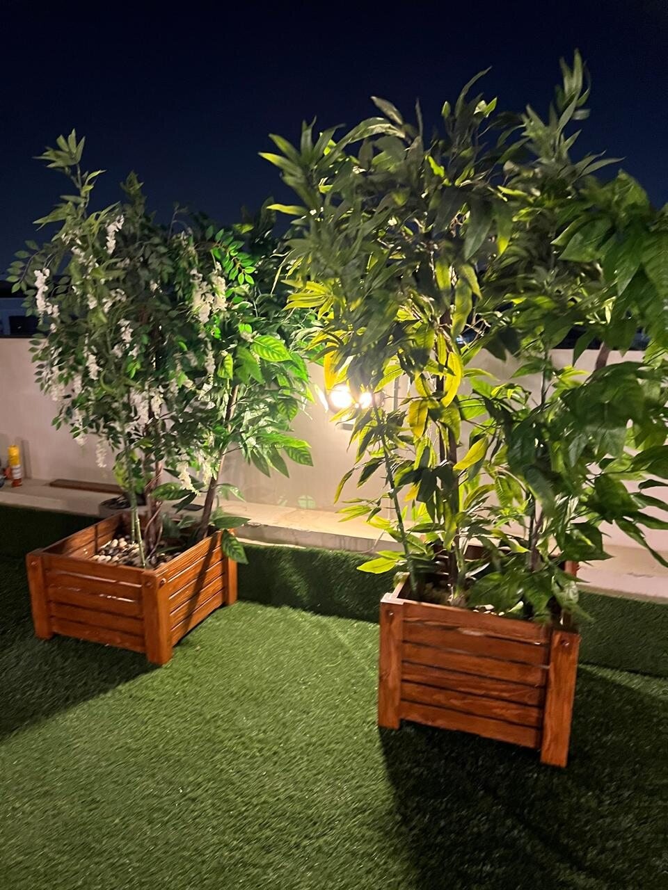 One Kattameya planters